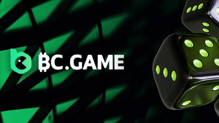 Step-by-Step Guide to the BC.Game Registration Process -293847807